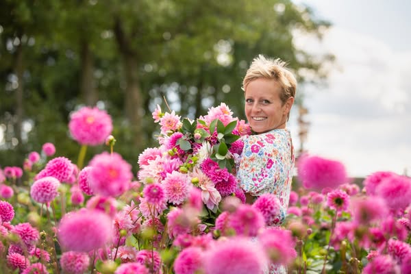 Dahlia Beach ad