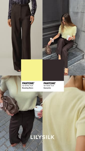An image ad for LILYSILK's brown pants, featuring a collage of images of the product, color swatches, and a woman we