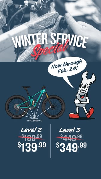 This image ad promotes a winter service special for bicycles, offering discounted rates for Level 2 and Level 3 services