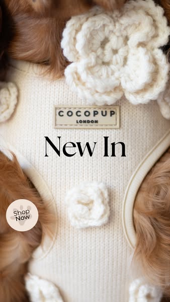 Close up image of a dog harness with a flower pattern with "New In" overlaid and a Shop Now CTA.