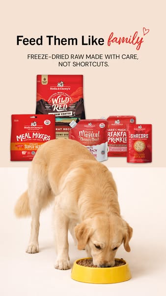 This image ad promotes Stella & Chewy's dog food products, emphasizing the quality of ingredients and care in th
