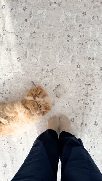 Tumble ad