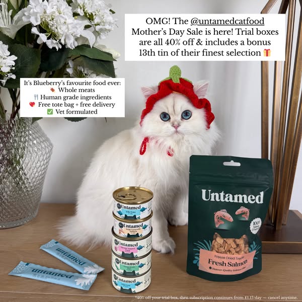 Our Cat Biscuit ad