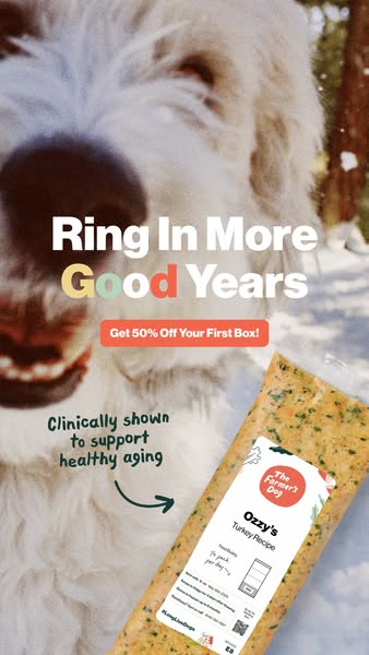 This ad for The Farmer's Dog features a close-up of a dog's face in a snowy outdoor setting. The ad promotes the