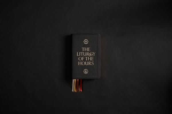 Bishop Robert Barron ad
