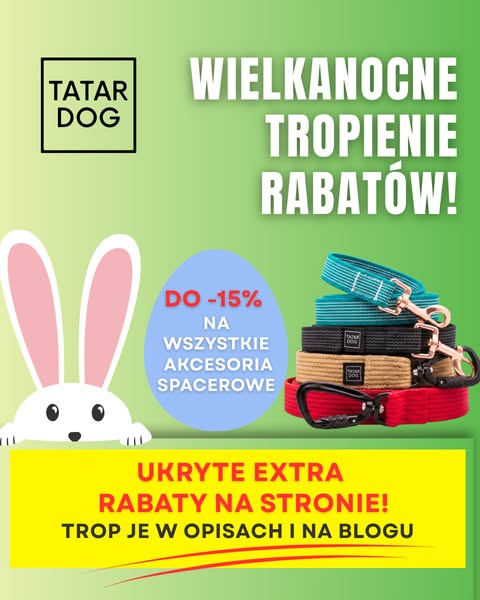 TATAR DOG - Krzysztof Tatar ad