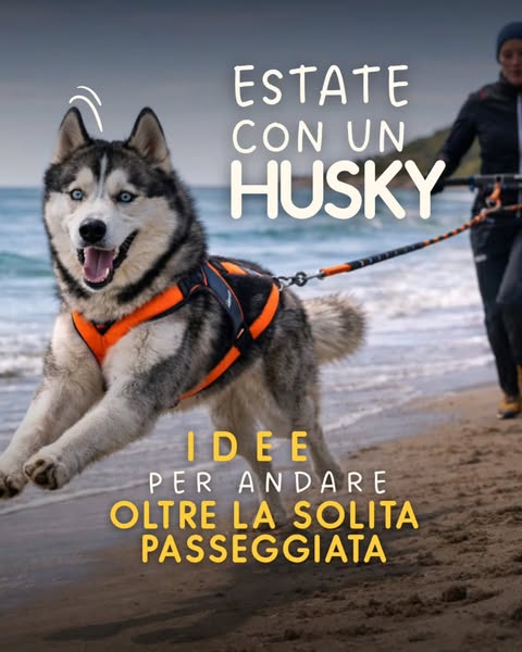 Donnecheviaggianocoilupi ad