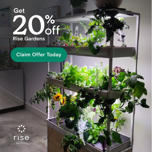 Rise Gardens ad