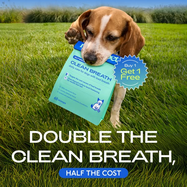 This image ad promotes Gutwell Clean Breath dental treats for dogs. The ad features a dog carrying a package of Clean Br