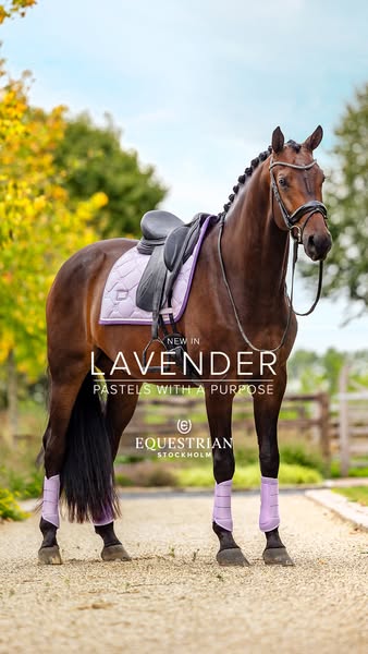 This ad features a light brown horse standing on a path in front of trees and a fence. The horse is wearing lavender col