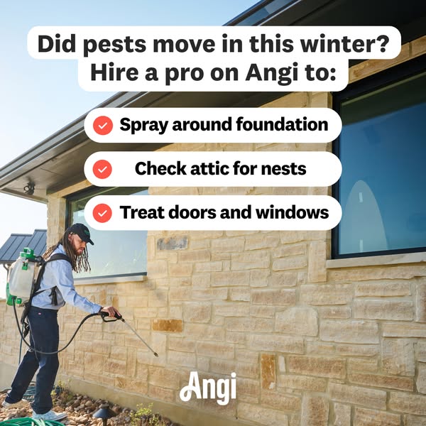 This Angi ad acknowledges winter pest issues and proposes hiring an Angi pro to address problems like foundation sprayin