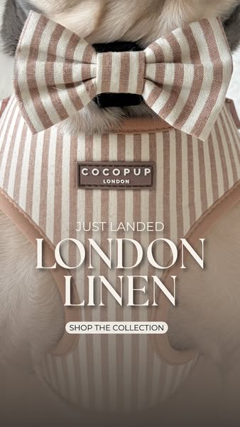 This image ad is promoting the Cocopup London linen dog harness and bow tie, the newest addition to their collection. Th