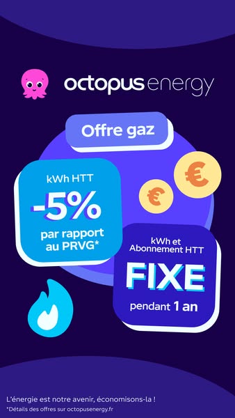 This image ad for Octopus Energy features a playful design with various shapes and text blocks that highlight the benefi