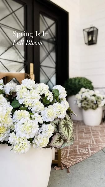 Image ad depicting white flowers in planters.