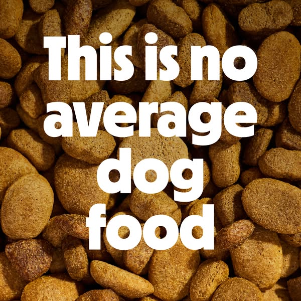 The image ad features a close-up shot of dog food kibble, with bold text overlayed emphasizing the food's superior q