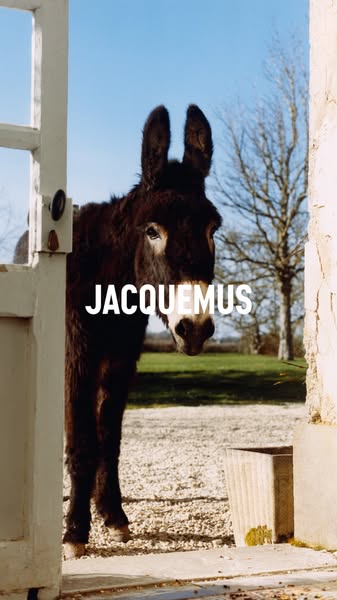 This ad for Jacquemus features an image of a donkey standing in a doorway with the brand name superimposed on the image.
