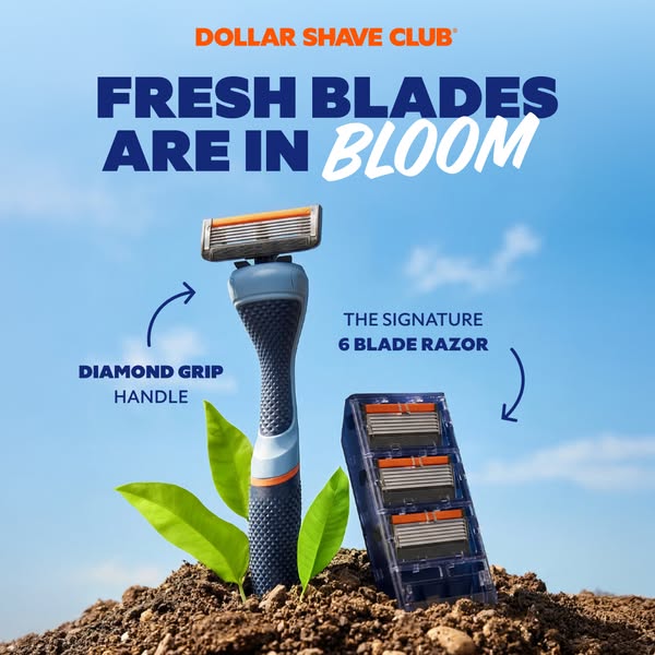 This image ad for Dollar Shave Club promotes their razor blades with a springtime theme. The ad showcases the razor and 
