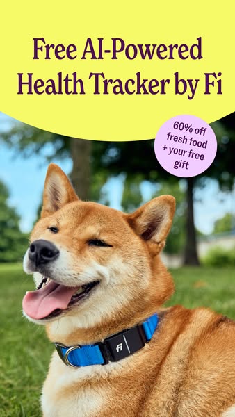 This image promotes Fi's AI-powered health tracker for dogs. It features a happy-looking Shiba Inu wearing a Fi coll