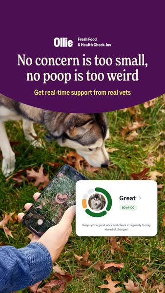This ad promotes Ollie's fresh pet food with health check-ins. It highlights the brand's support for pet owners&