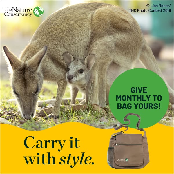 This ad promotes The Nature Conservancy by incentivizing monthly donations with a free bag.