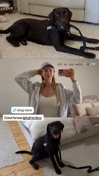 Mayadoudle ad