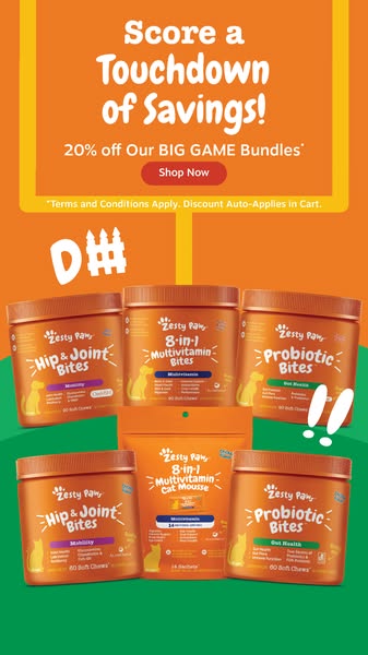 The ad promotes Zesty Paws products with a 'Big Game' themed discount, offering 20% off bundles. The products in