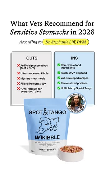Spot & Tango ad