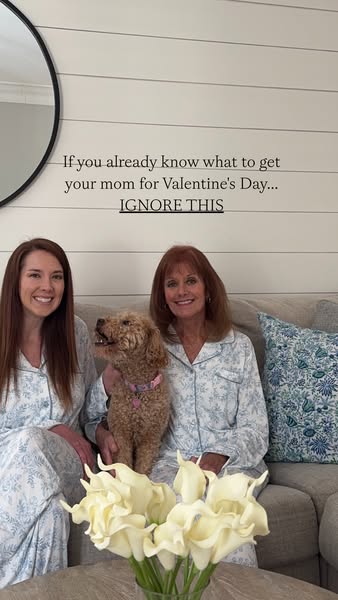 Adventures of a Twin Mom Blog ad