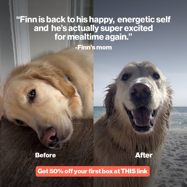 The Farmer's Dog ad