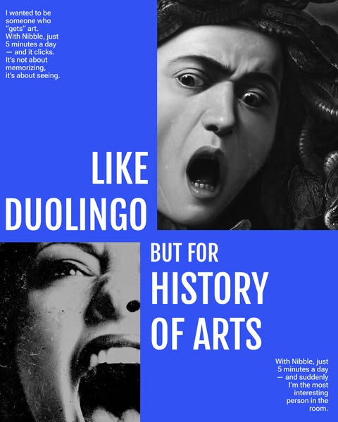 This ad compares learning art history with Nibble to learning a language with Duolingo. The ad includes images of faces 
