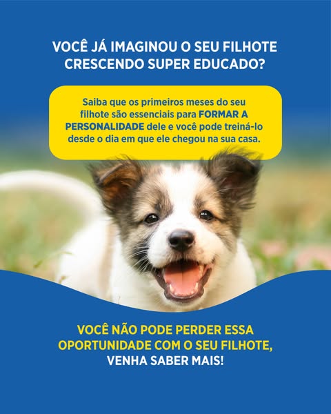 This ad is for a dog training program. It features a cute puppy and text that emphasizes the importance of training a pu