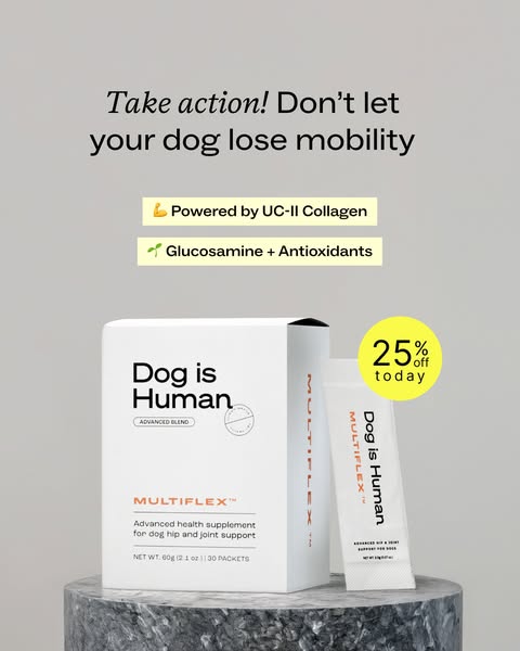 This image ad for Dog is Human promotes MULTIFLEX, an advanced health supplement for dog hip and joint support. It featu