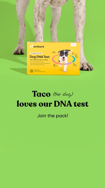 An image ad for Embark dog DNA tests features a product shot of the packaging with a dog behind the product. Text overla