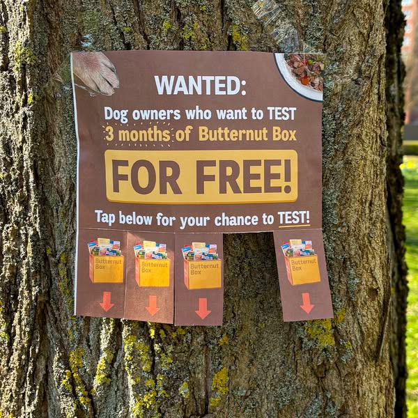 Ad for Butternut Box dog food offering 3 months of the service for free to dog owners to test.