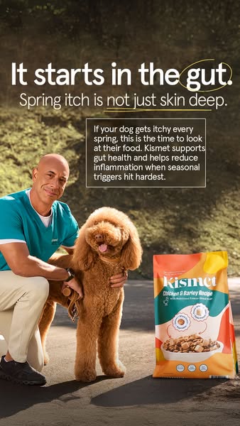 Dr. Kwane Stewart ad