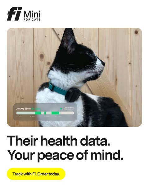 An image ad for the Fi Mini cat tracker, highlighting the health data it provides and the peace of mind it offers to cat