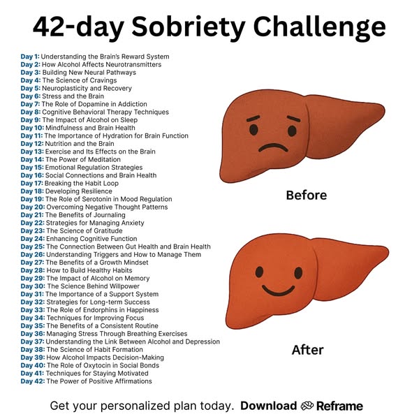 This ad promotes Reframe's 42-day sobriety challenge. It uses a listicle format to highlight the daily topics covere