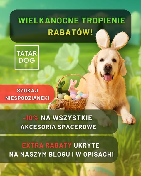 TATAR DOG - Krzysztof Tatar ad