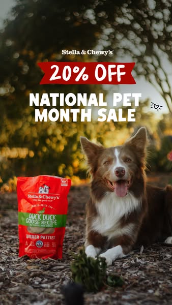 This image ad is for Stella & Chewy's dog food, promoting a National Pet Month sale. It features a bag of the br