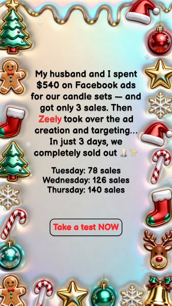 The ad presents a Facebook ad case study from a business owner. After spending $540 on Facebook ads, they only achieved 