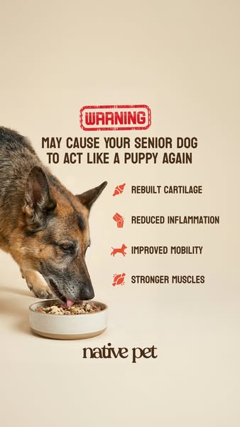 Native Pet ad