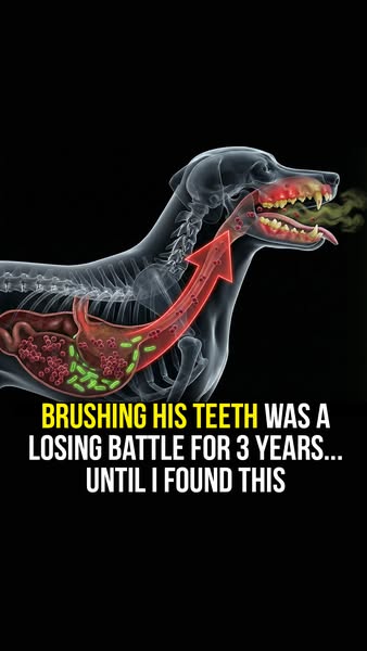 This ad highlights the difficulty of maintaining a dog's dental health through brushing. It offers an alternative so