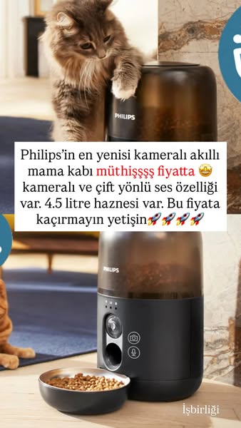 Dilara Is The Best ad