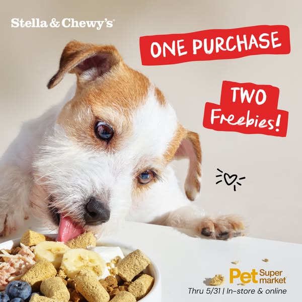 Image ad for Stella & Chewy's dog food, promoting a limited-time offer of two free items with one purchase. The 