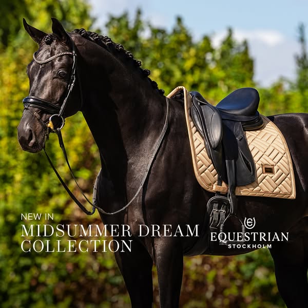 This ad showcases Equestrian Stockholm's new Midsummer Dream Collection for equestrian riders and their horses. The 