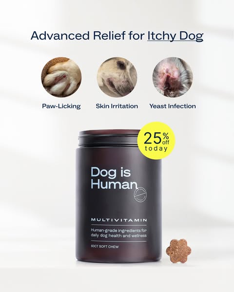 This ad promotes Dog is Human multivitamin supplements for itchy dogs. It shows common signs of itchy skin in dogs and o