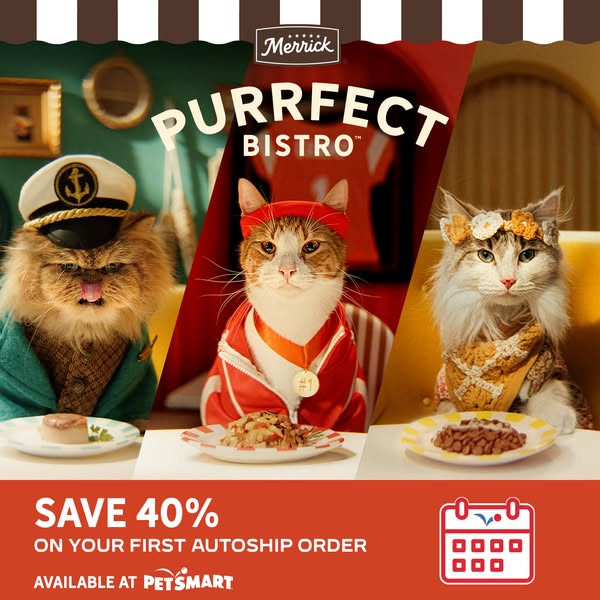 An advertisement promoting Merrick's Purrfect Bistro cat food, featuring three cats dressed in outfits. The ad highl