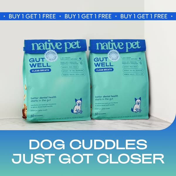 This image ad showcases Native Pet's Gut Well Clean Breath supplement for dogs, emphasizing its dental health benefi