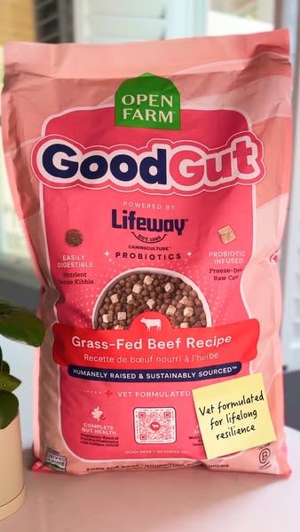 The ad is for Open Farm Good Gut Grass-Fed Beef Recipe dog food, which claims to be easily digestible, probiotic infused