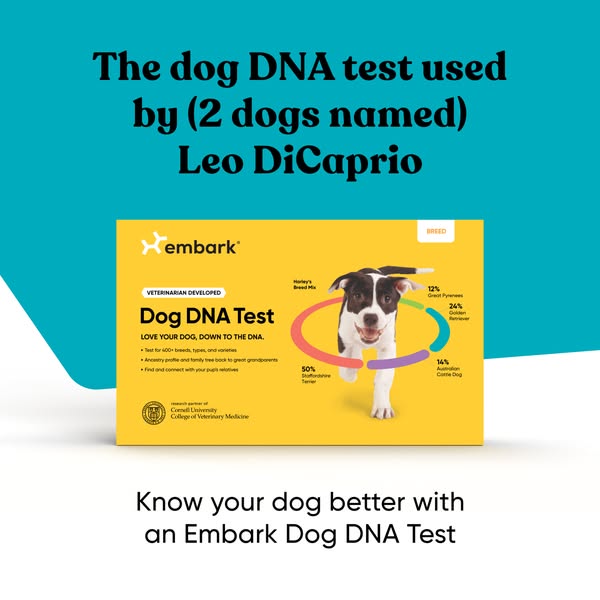 This ad promotes Embark Dog DNA tests. The ad features the product packaging of the test, along with a photo of a black 